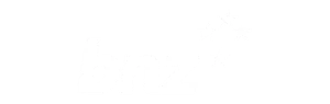 BNZ Logo